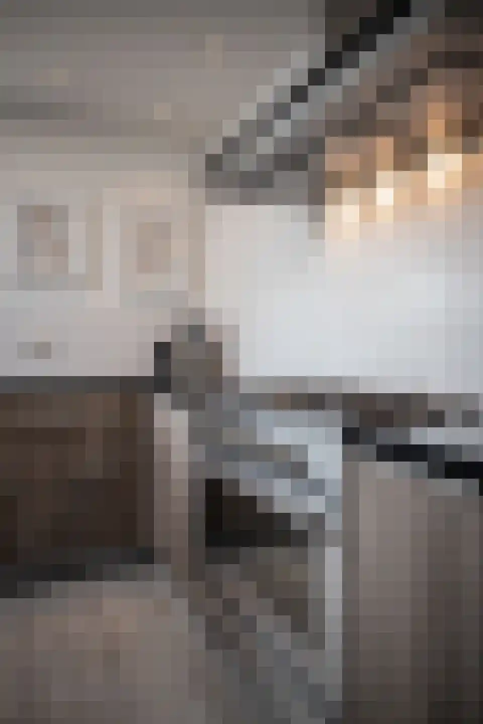 Dragon 39 Hoogkarspel thumbnail 62