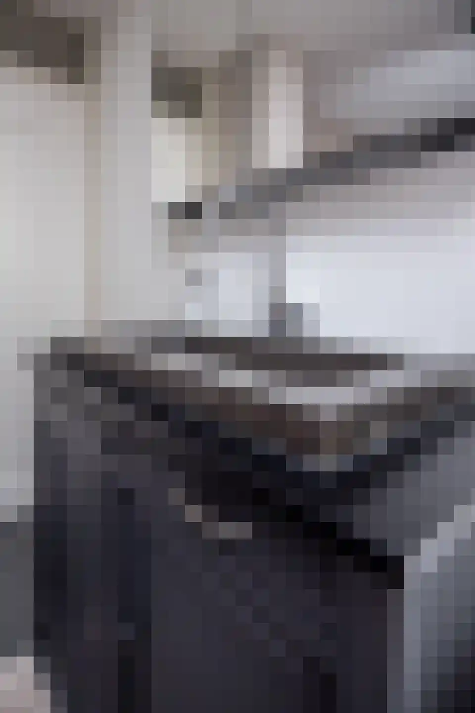 Dragon 39 Hoogkarspel thumbnail 64