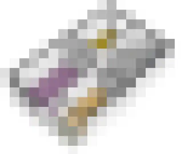 Dragon 39 Hoogkarspel thumbnail 69
