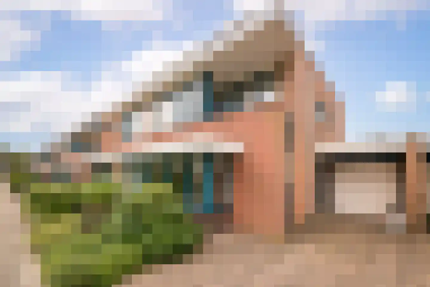 Dragon 39 Hoogkarspel thumbnail 7
