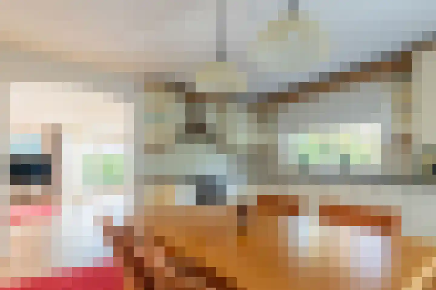 Dragon 8 Hoogkarspel thumbnail 21