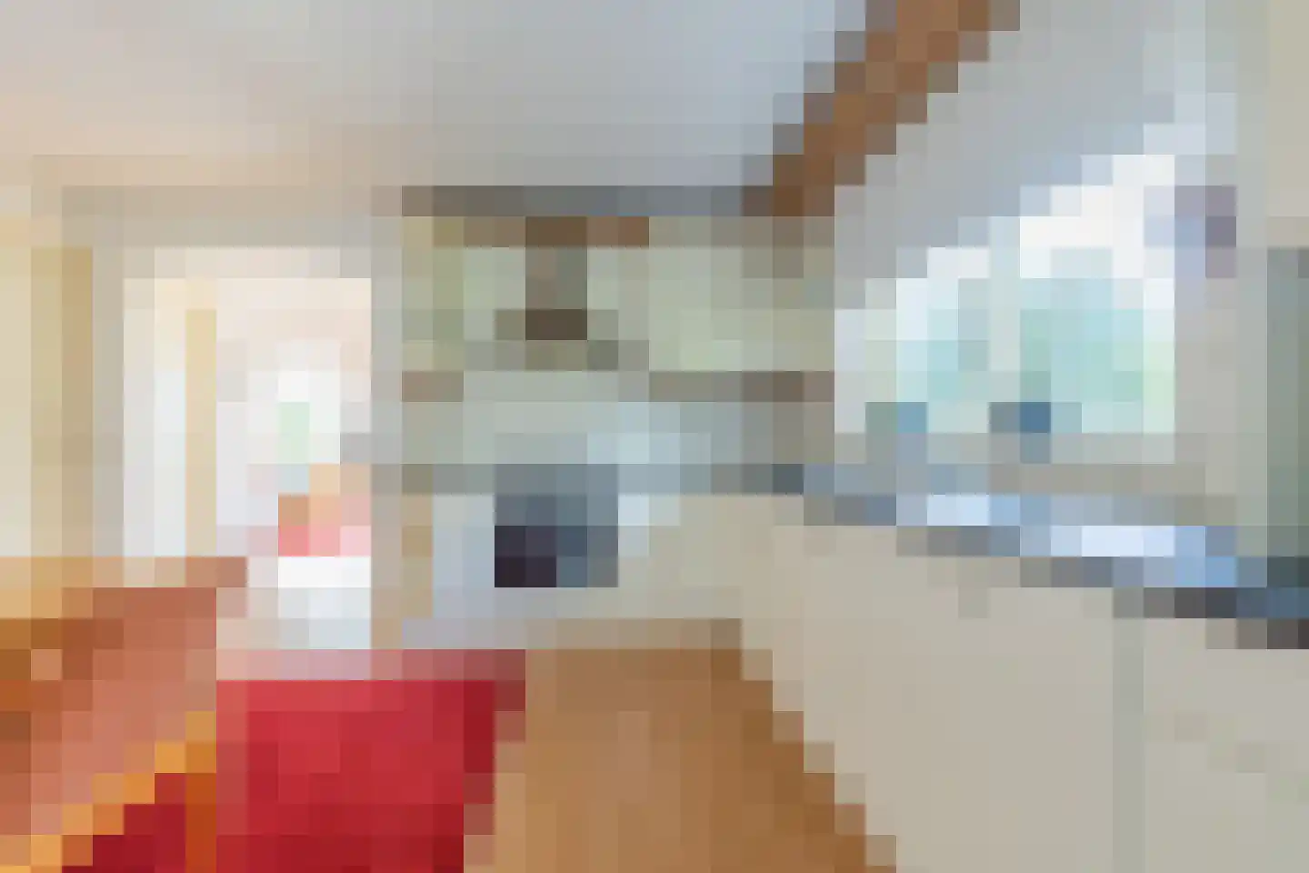 Dragon 8 Hoogkarspel thumbnail 22