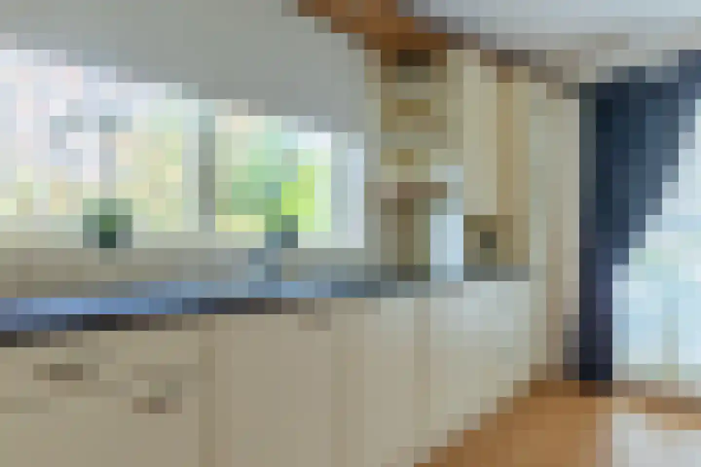 Dragon 8 Hoogkarspel thumbnail 24