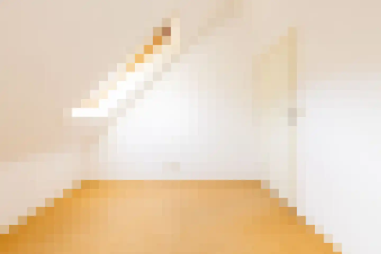 Dragon 8 Hoogkarspel thumbnail 48