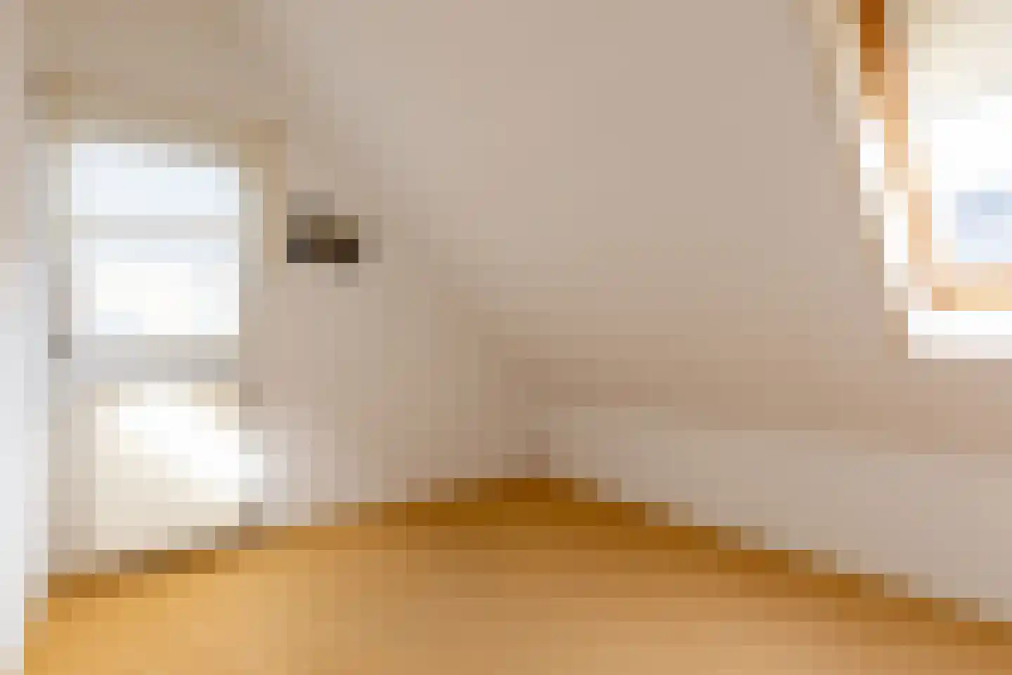 Dragon 8 Hoogkarspel thumbnail 50