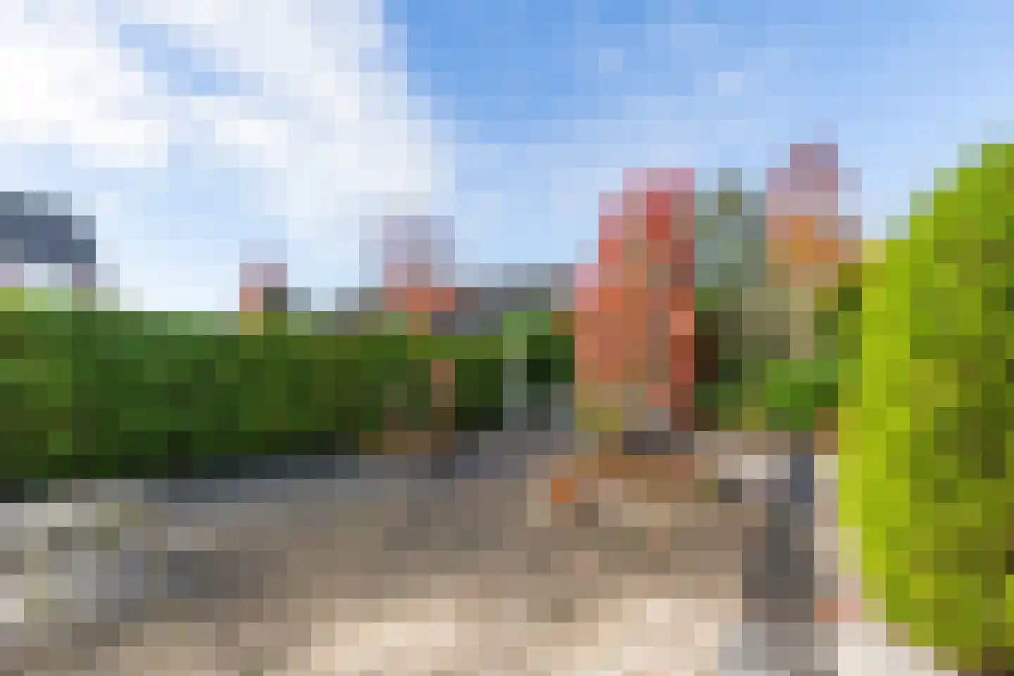 Dragon 8 Hoogkarspel thumbnail 66