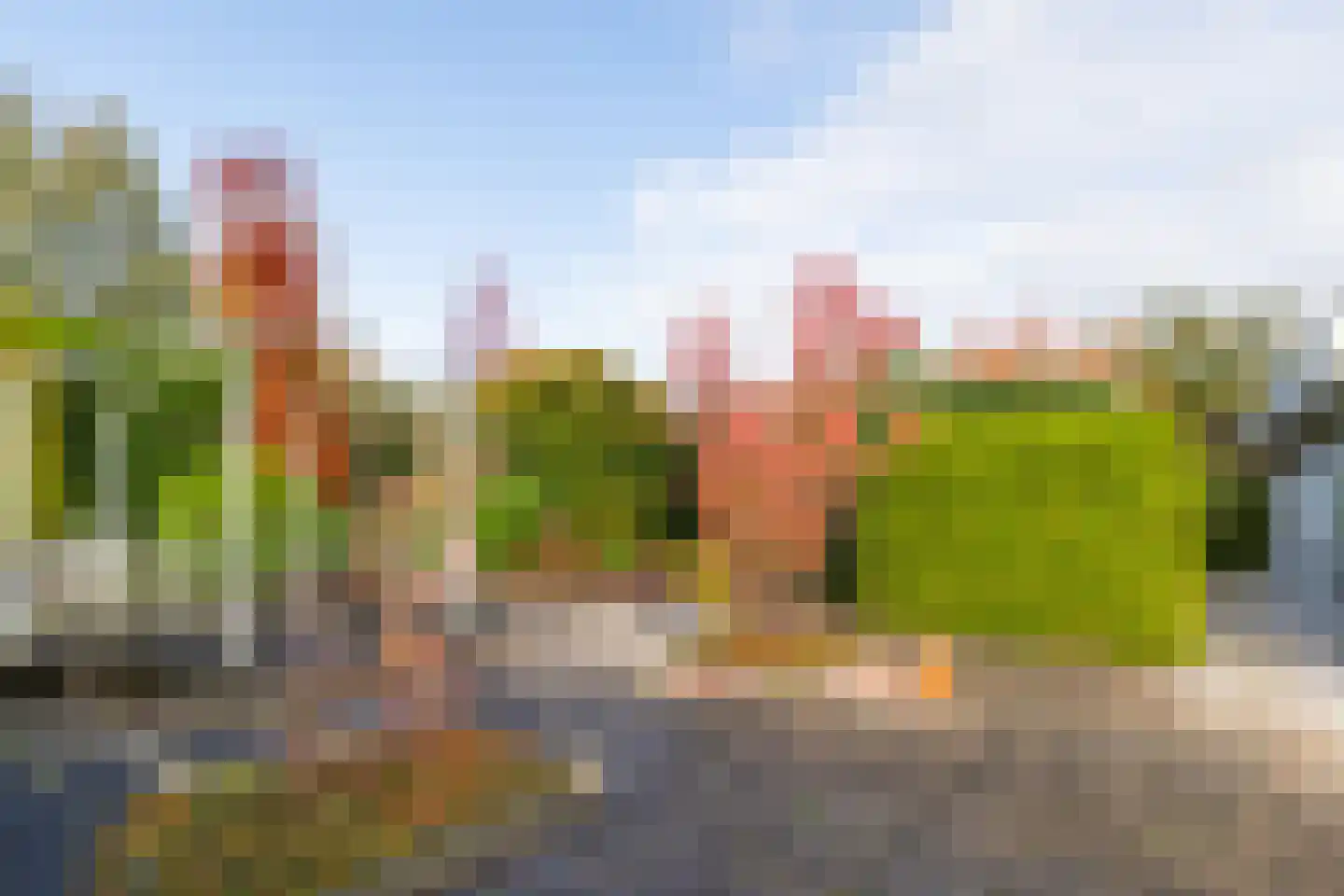 Dragon 8 Hoogkarspel thumbnail 70