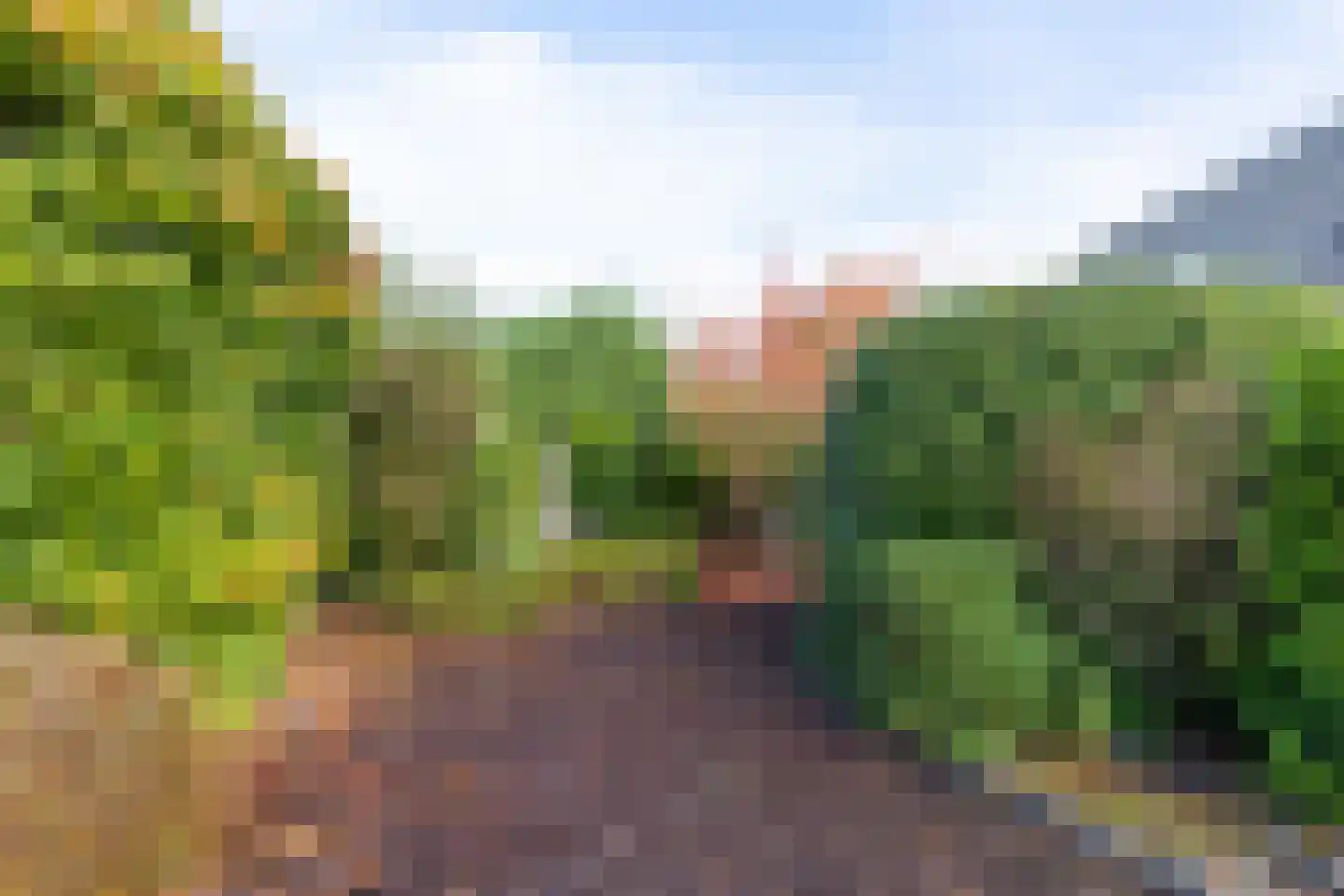 Dragon 8 Hoogkarspel thumbnail 71