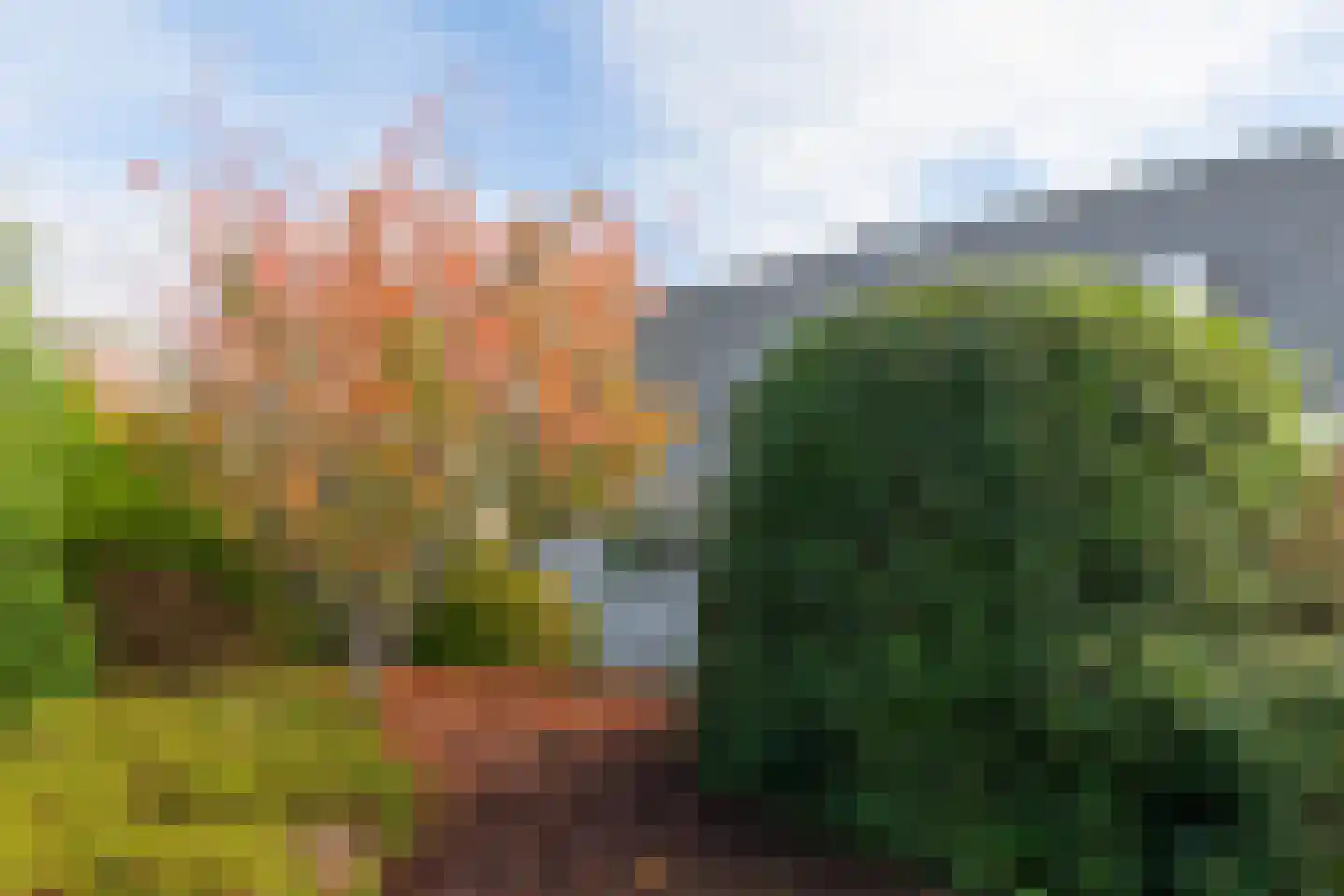 Dragon 8 Hoogkarspel thumbnail 72