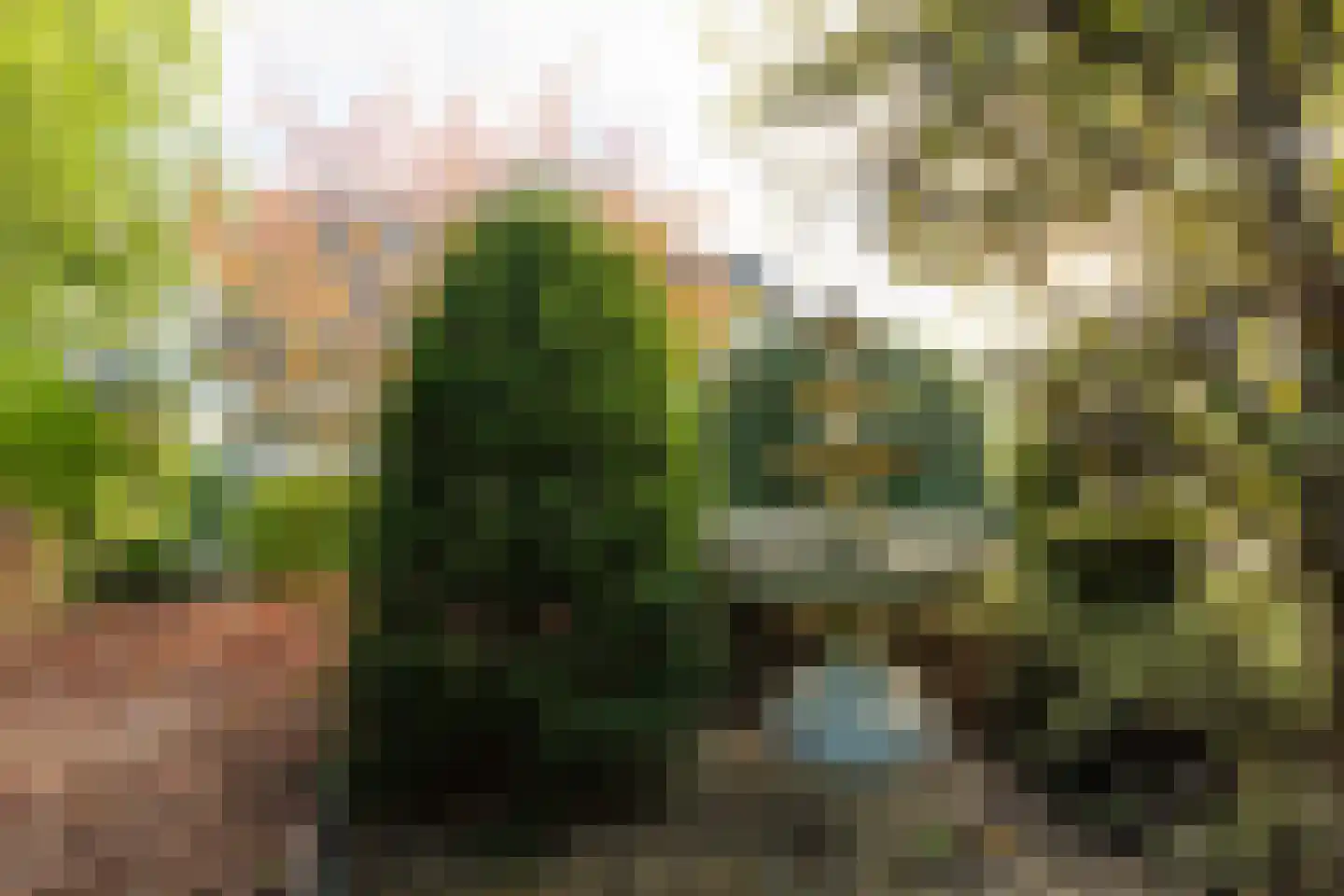 Dragon 8 Hoogkarspel thumbnail 73