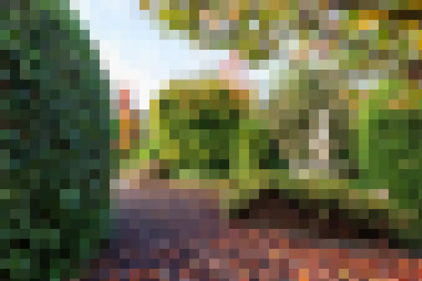 Dragon 8 Hoogkarspel thumbnail 74