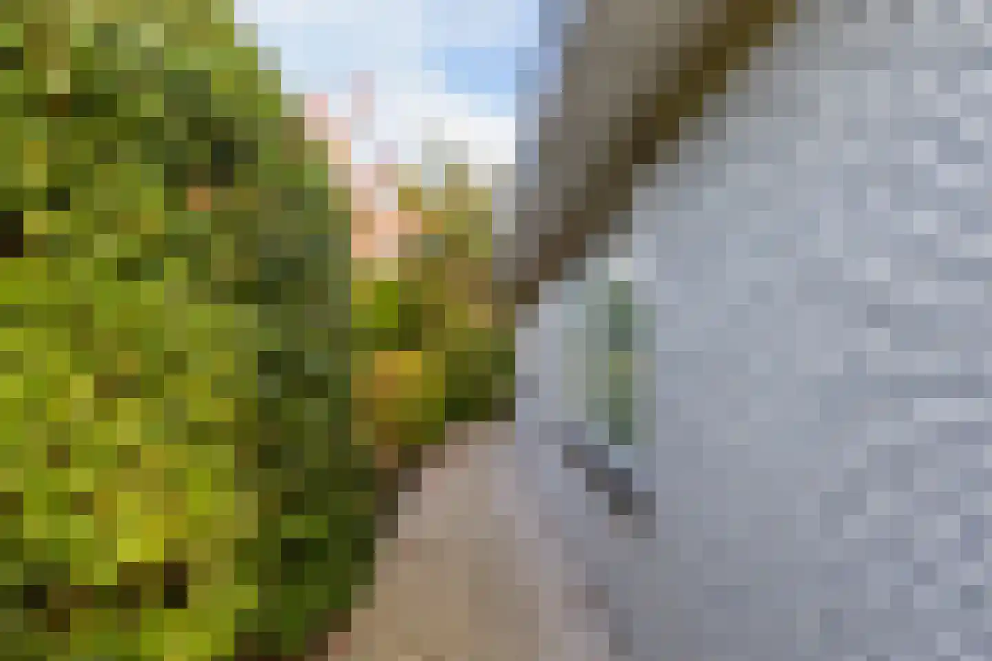 Dragon 8 Hoogkarspel thumbnail 75