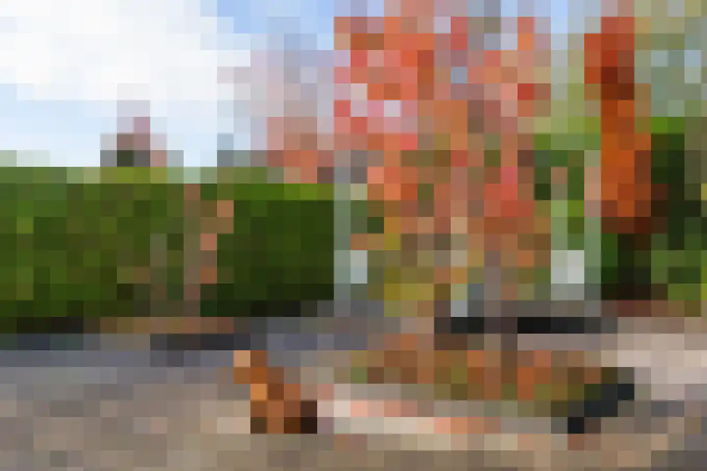 Dragon 8 Hoogkarspel thumbnail 76