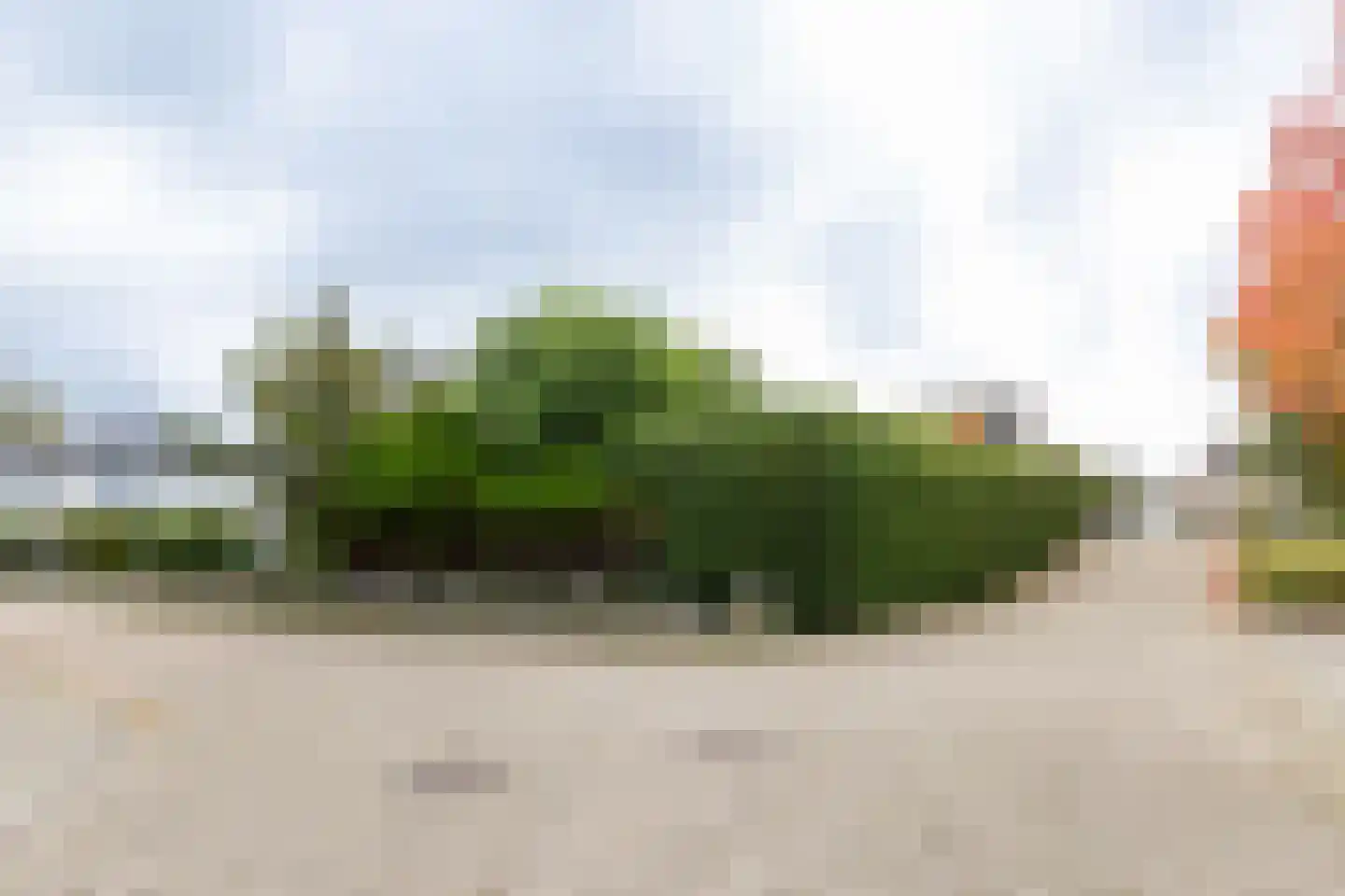Dragon 8 Hoogkarspel thumbnail 81