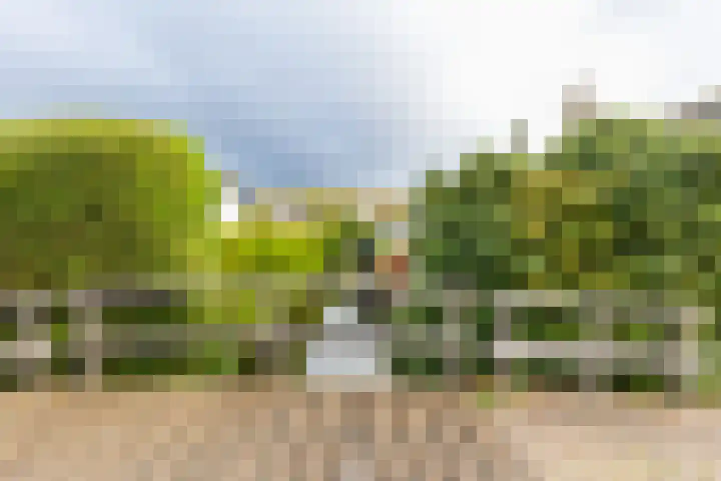 Dragon 8 Hoogkarspel thumbnail 83