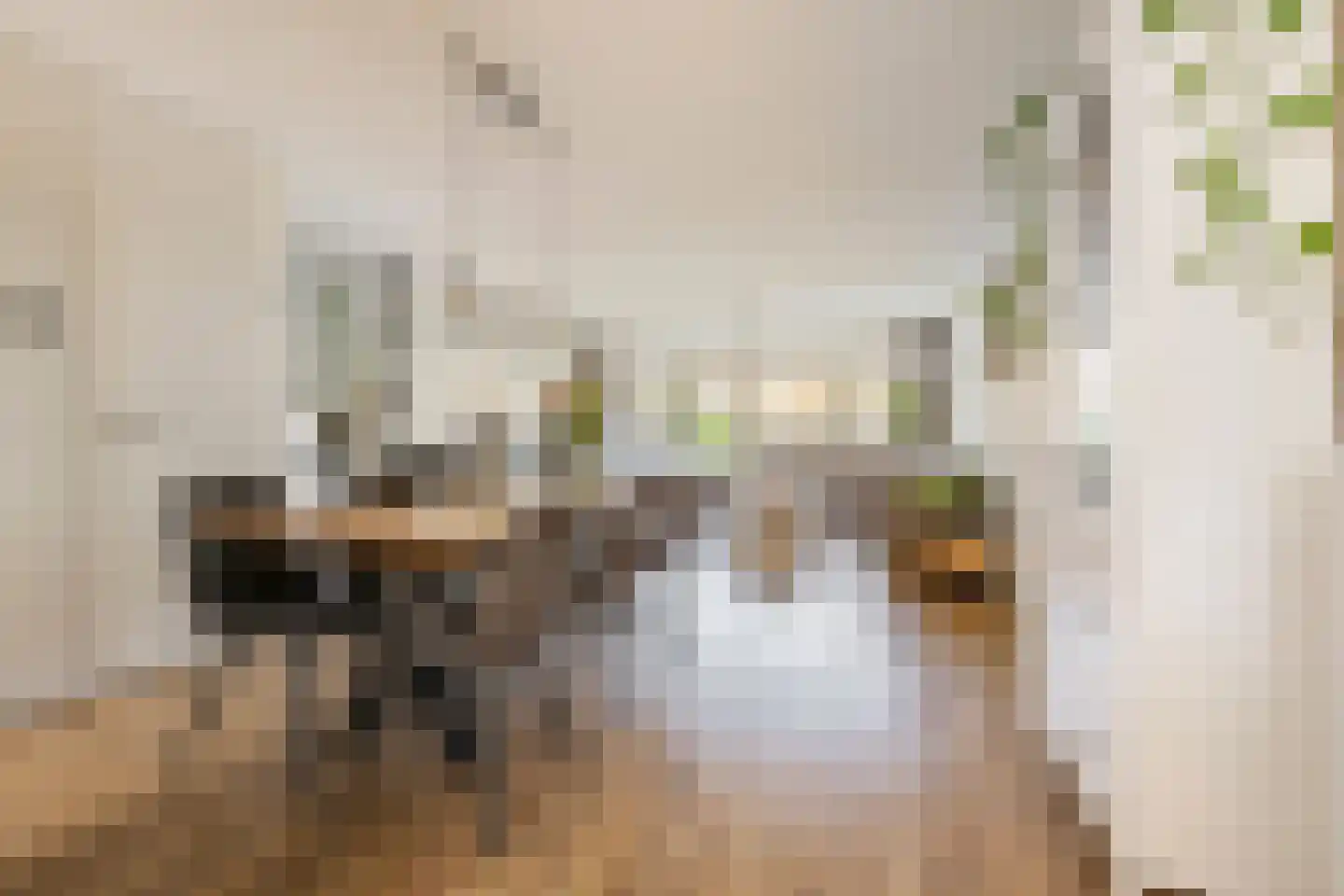 Dragonstraat 128 Groningen thumbnail 13