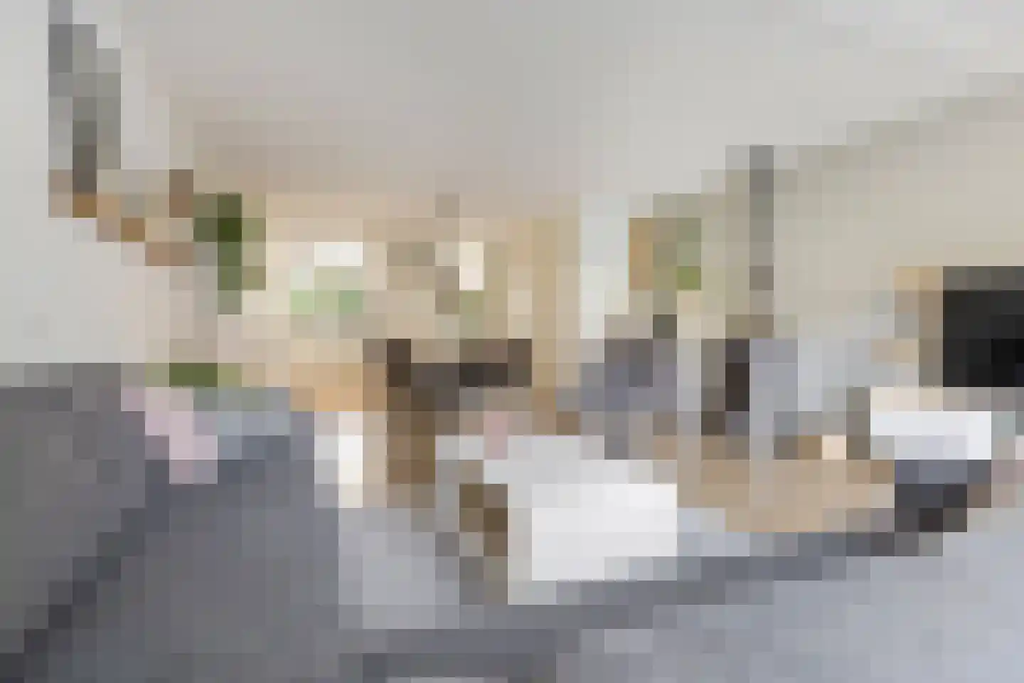 Dragonstraat 128 Groningen thumbnail 16