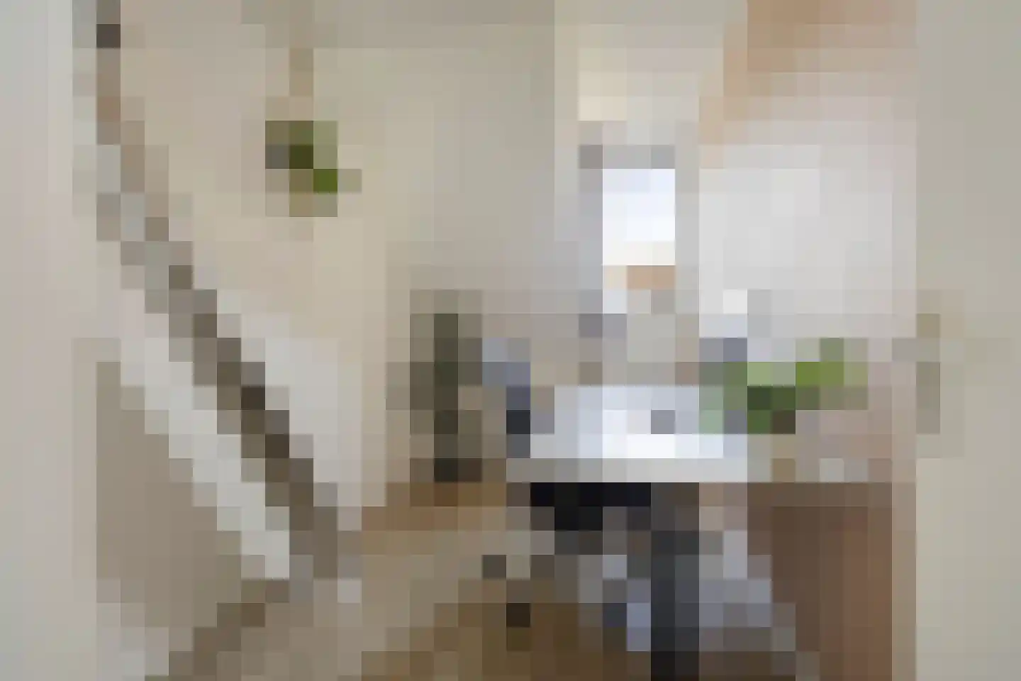Dragonstraat 128 Groningen thumbnail 26