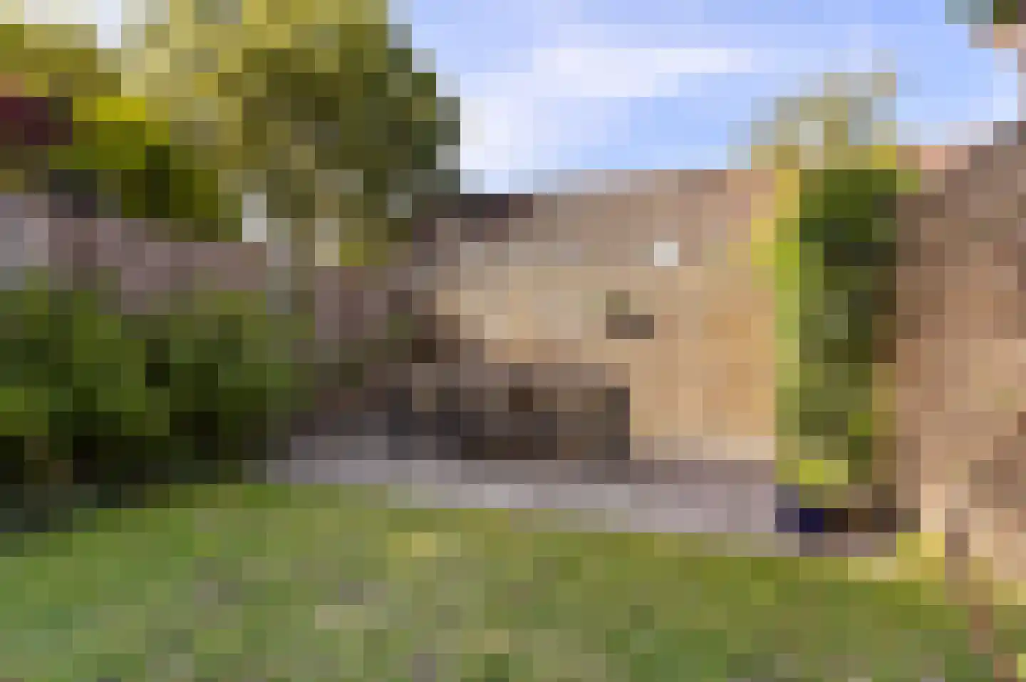 Dragonstraat 128 Groningen thumbnail 35