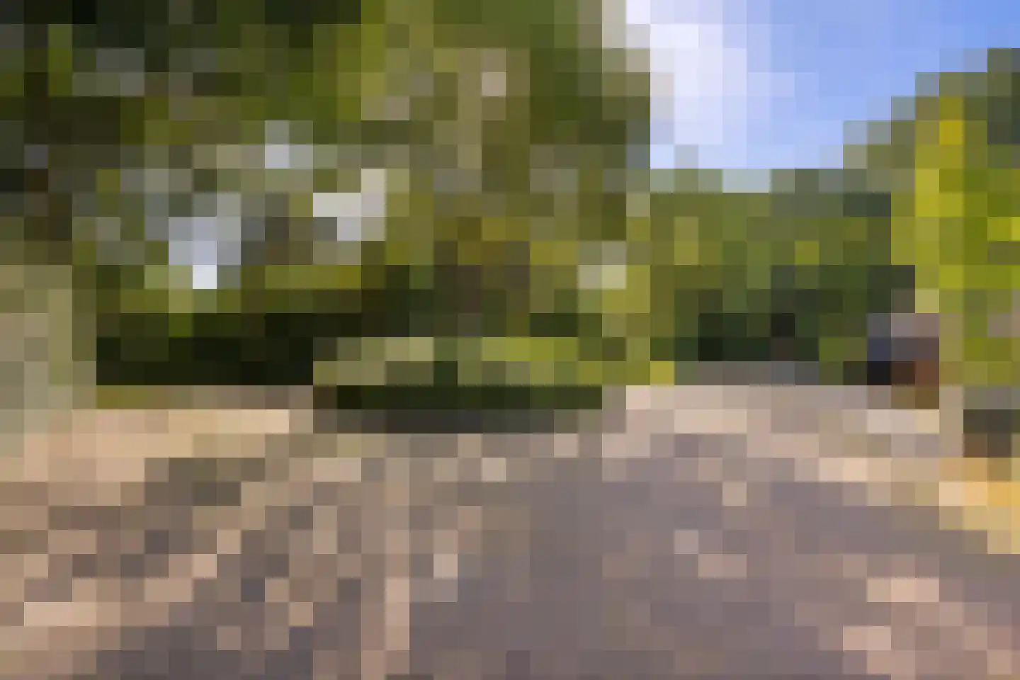 Dragonstraat 128 Groningen thumbnail 43