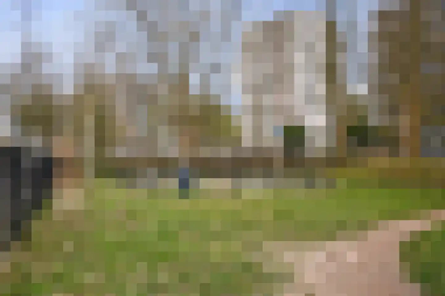 Dragonstraat 15 Haarlem thumbnail 20