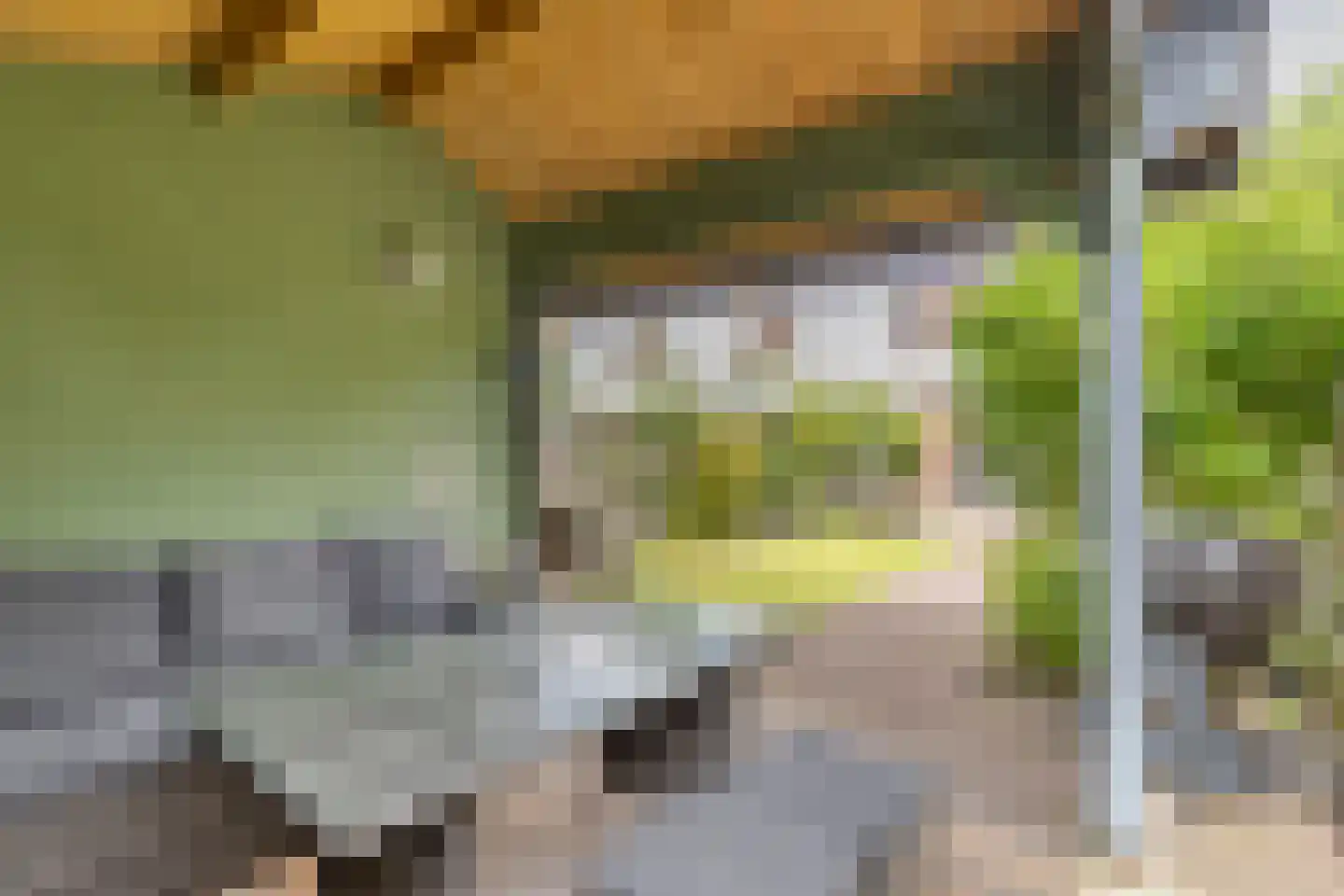 Dragonstraat 85 Groningen thumbnail 26