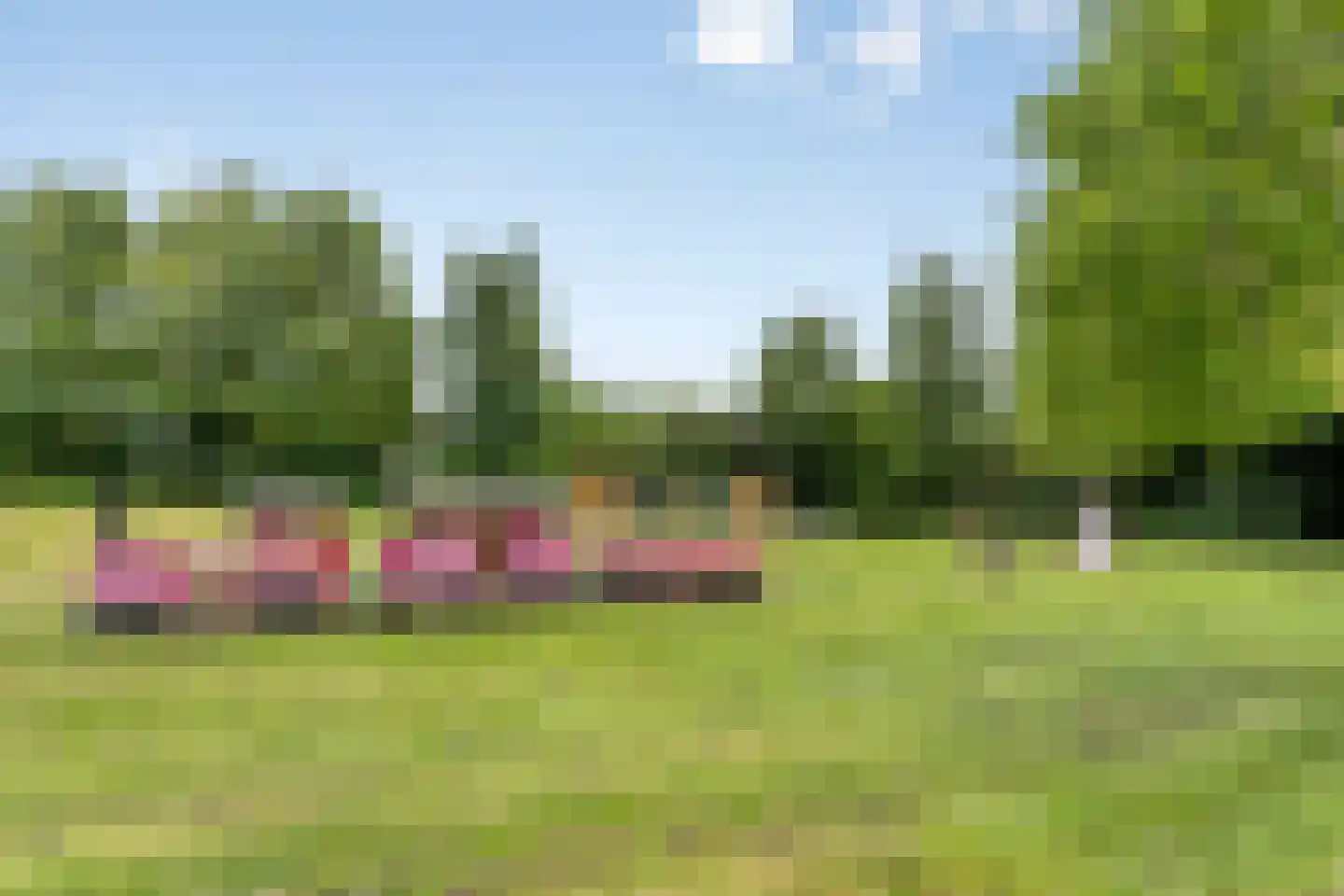 Dragonstraat 85 Groningen thumbnail 29