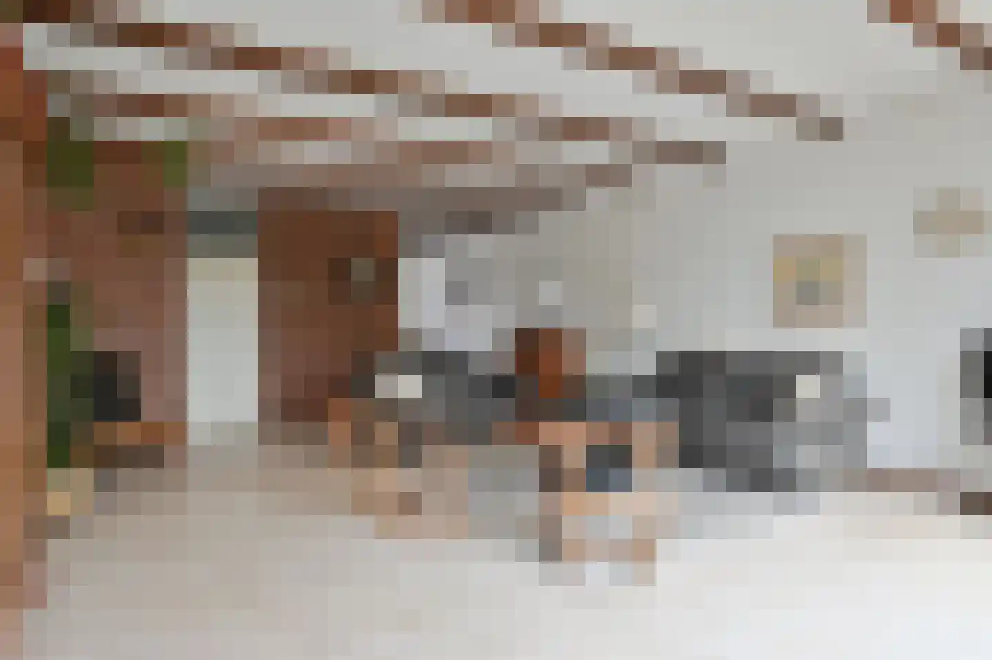 Dragontuin 3 Leiderdorp thumbnail 12