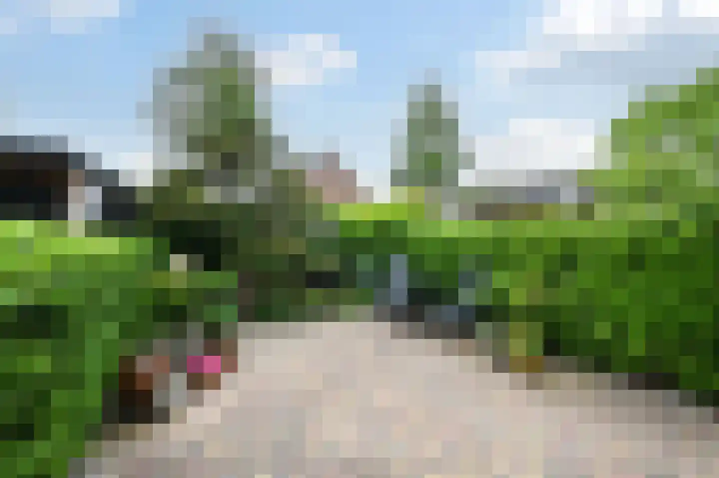 Dragontuin 3 Leiderdorp thumbnail 15