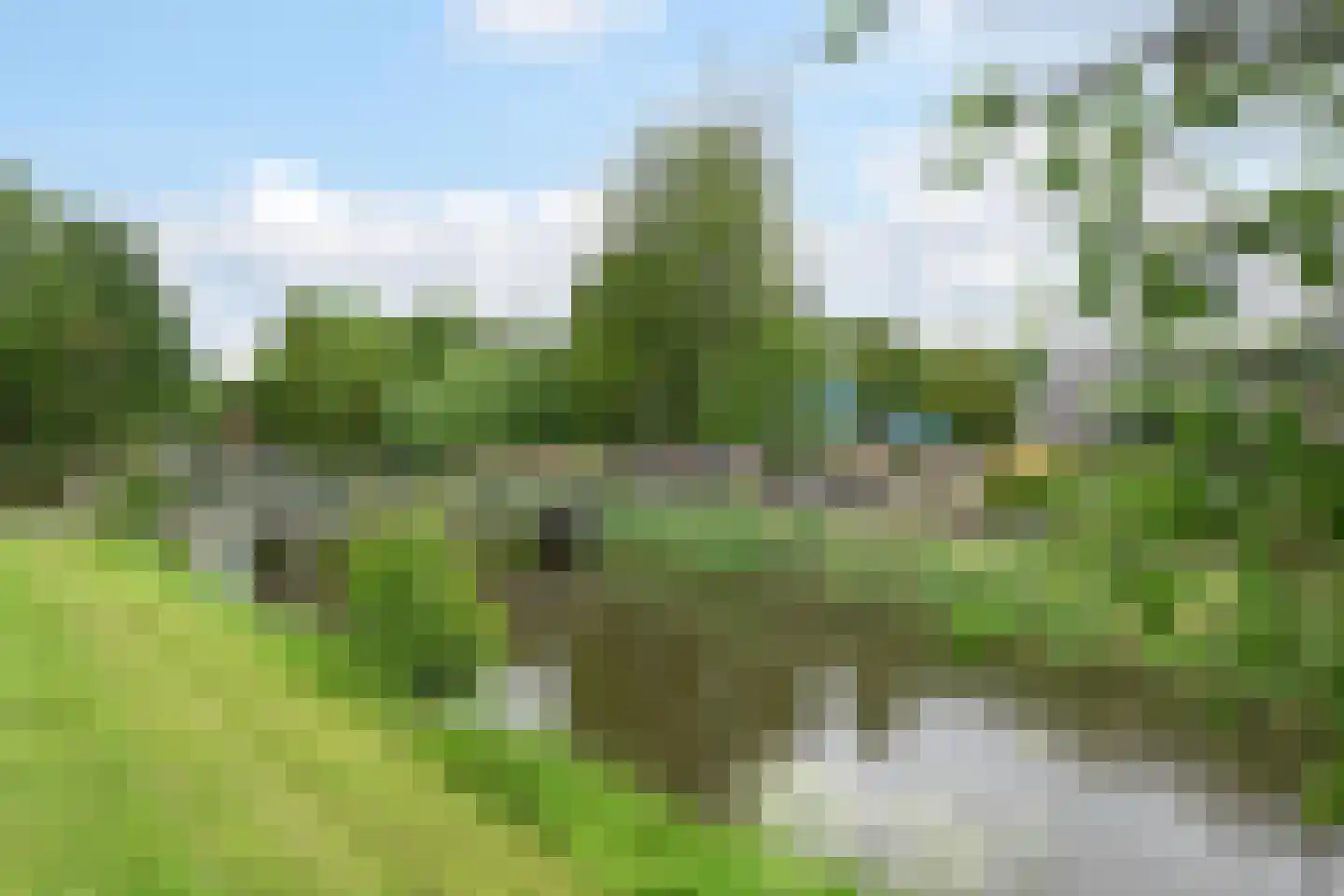 Dragontuin 3 Leiderdorp thumbnail 6