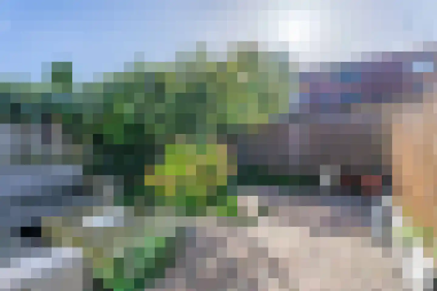 Dragonweg 21 Voorhout thumbnail 29