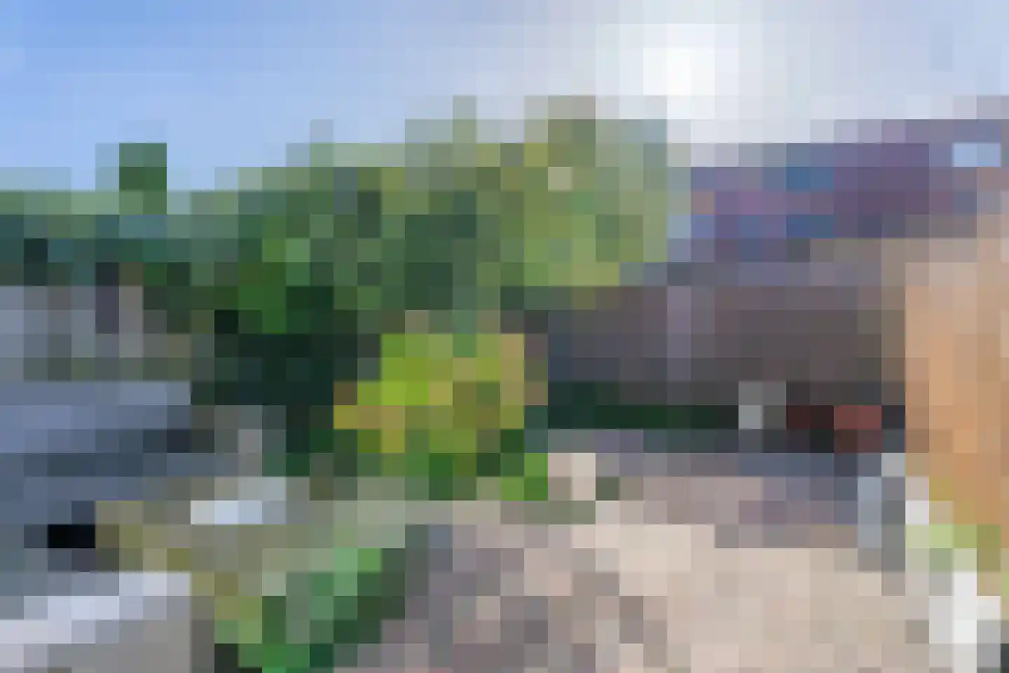 Dragonweg 21 Voorhout thumbnail 6