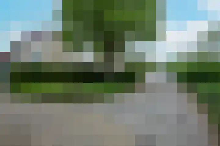 Dragonweg 57 Voorhout thumbnail 46