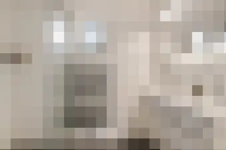 Dragsholm 21 Hoofddorp thumbnail 20