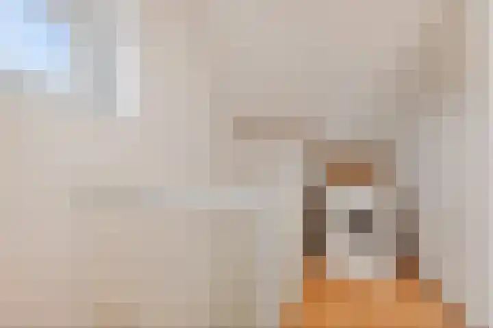 Dragsholm 21 Hoofddorp thumbnail 30