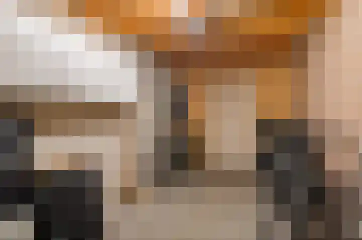 Dragsholm 21 Hoofddorp thumbnail 33