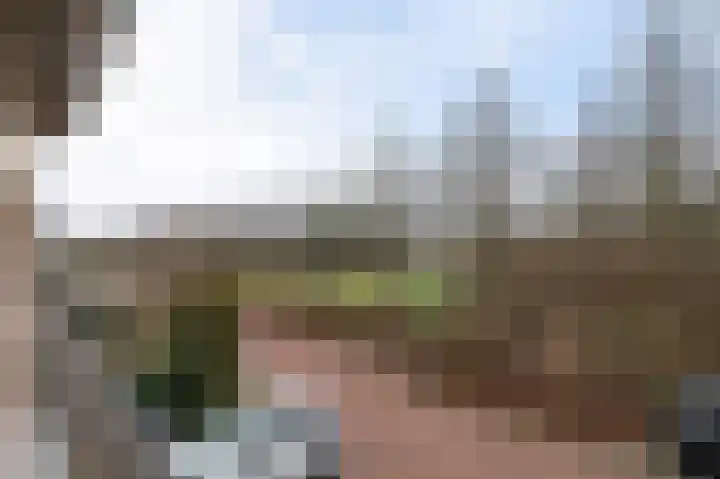 Dragsholm 21 Hoofddorp thumbnail 35