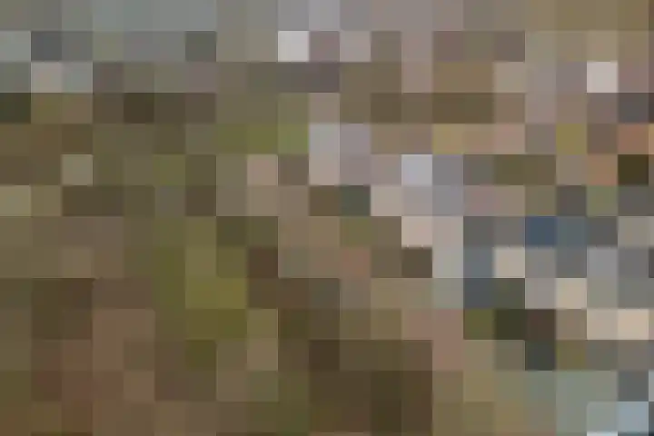 Dragsholm 21 Hoofddorp thumbnail 5