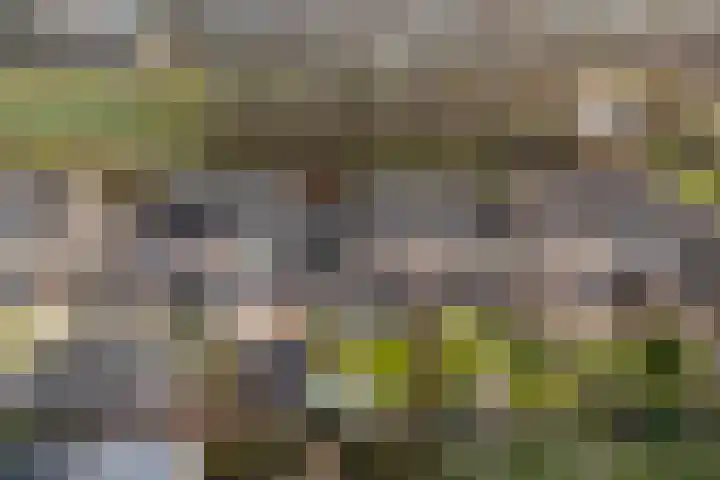 Dragsholm 21 Hoofddorp thumbnail 6