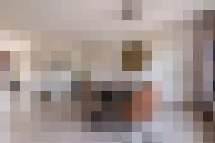 Draijerswijk 17 Oude Pekela thumbnail 15