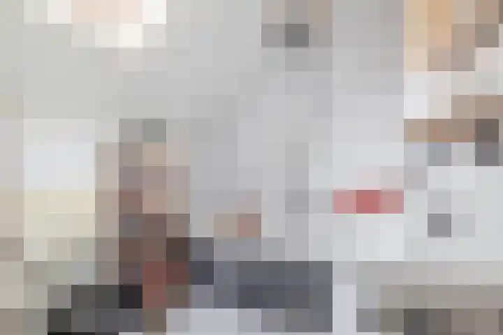 Draijerswijk 17 Oude Pekela thumbnail 30