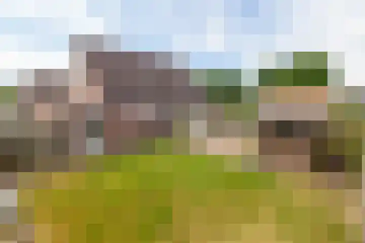 Draijerswijk 17 Oude Pekela thumbnail 33