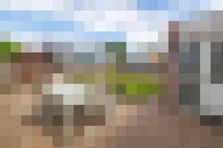 Draijerswijk 17 Oude Pekela thumbnail 34