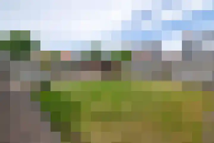Draijerswijk 17 Oude Pekela thumbnail 35