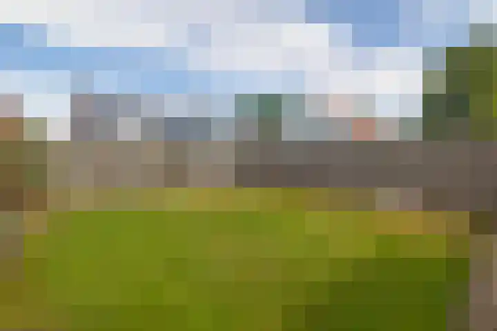 Draijerswijk 17 Oude Pekela thumbnail 36