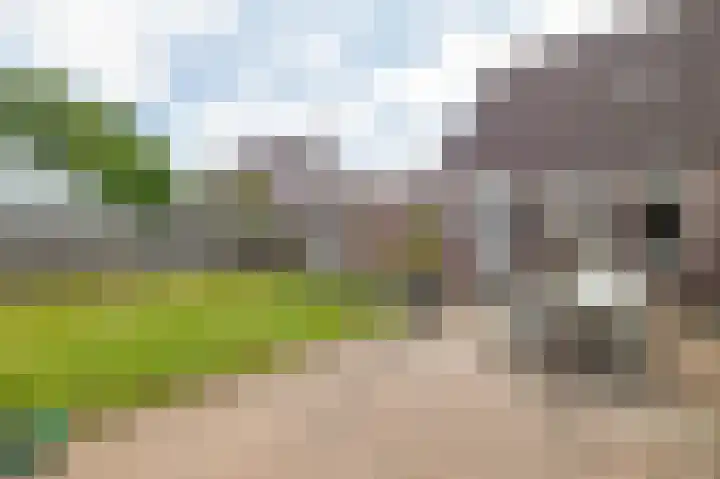 Draijerswijk 17 Oude Pekela thumbnail 4