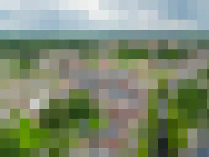 Draijerswijk 17 Oude Pekela thumbnail 41