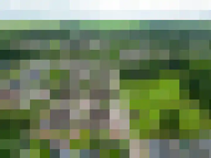 Draijerswijk 17 Oude Pekela thumbnail 42