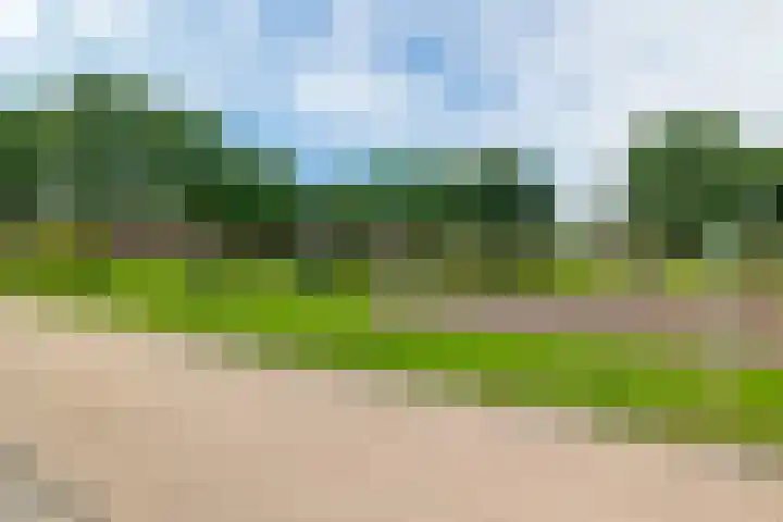 Draijerswijk 17 Oude Pekela thumbnail 43