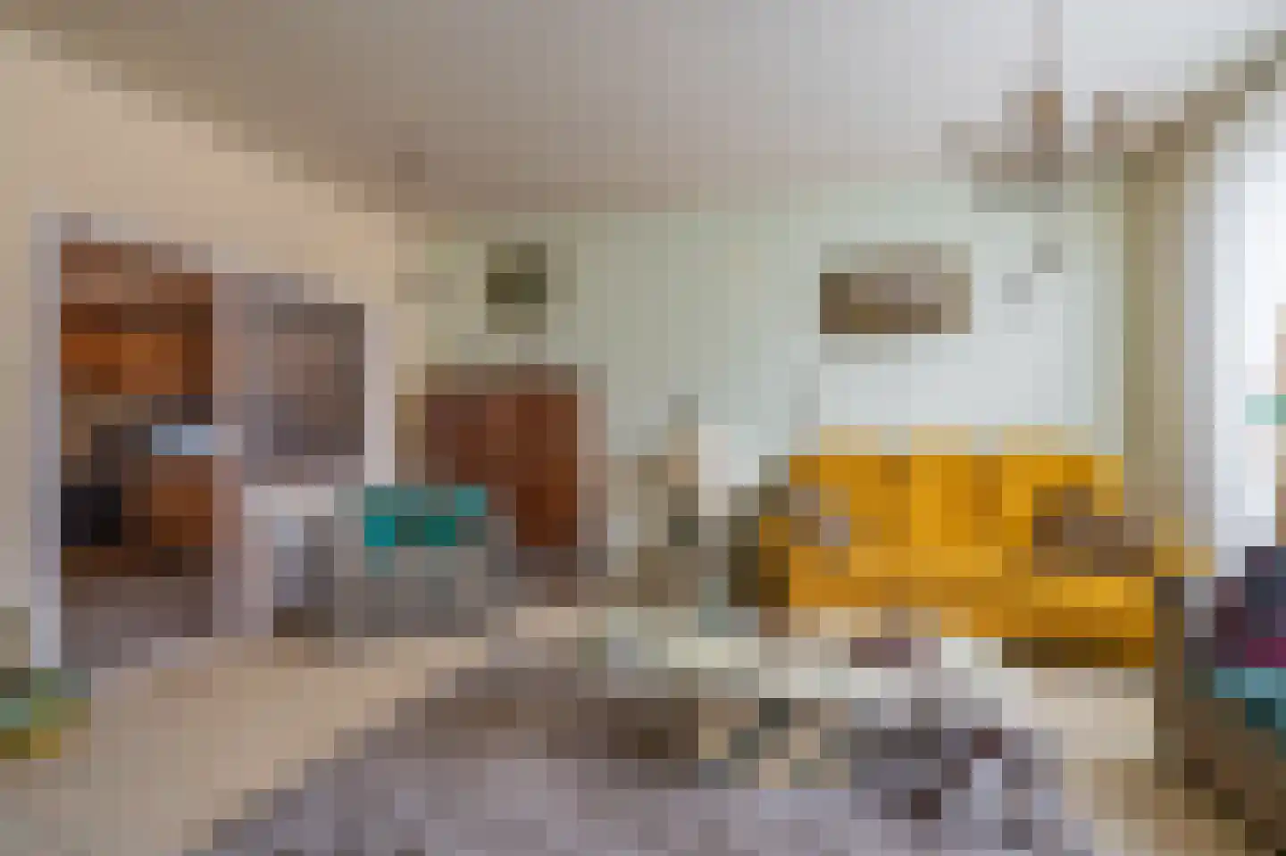 Draijerswijk 7 Oude Pekela thumbnail 10